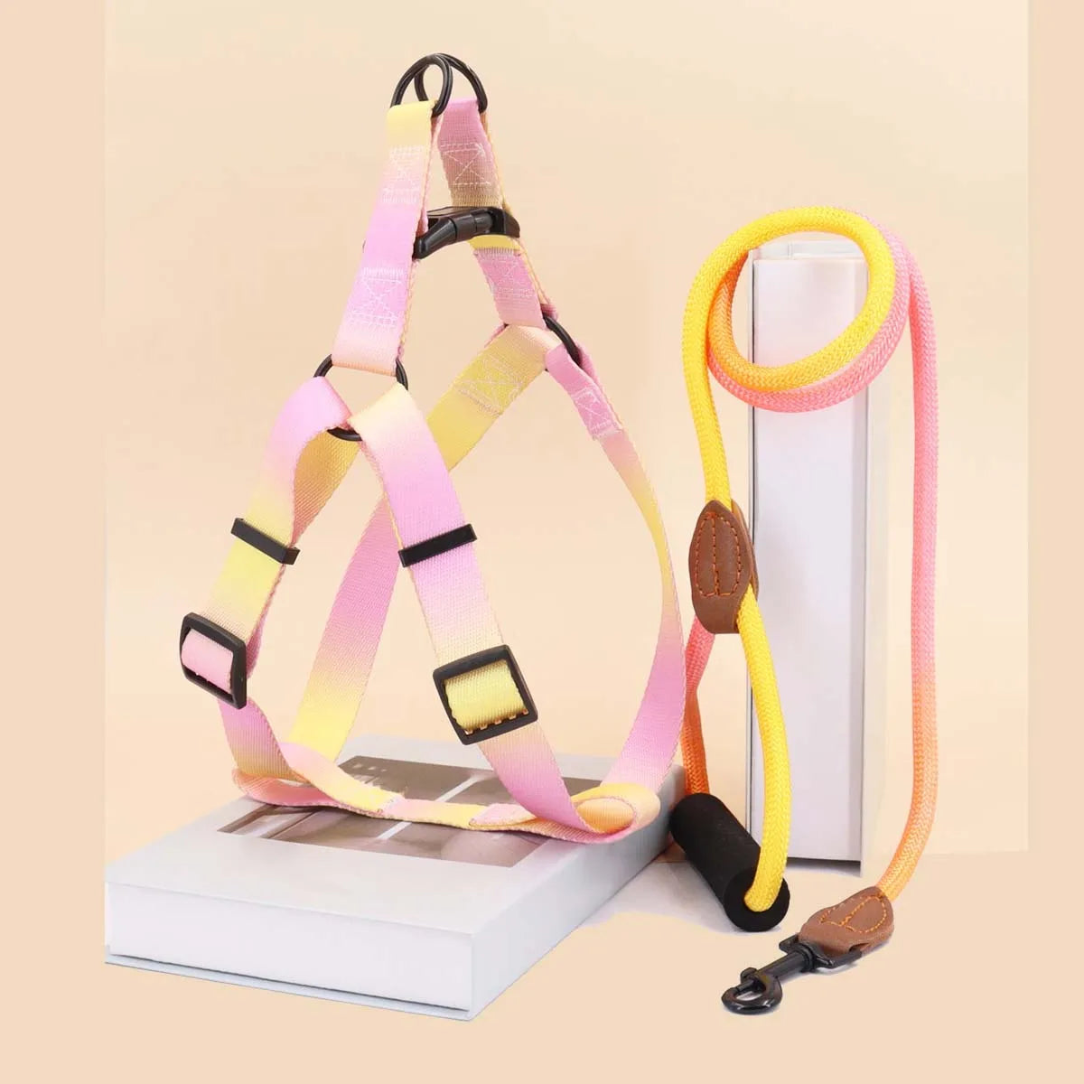 Colorful Pet Harness and Leash Set