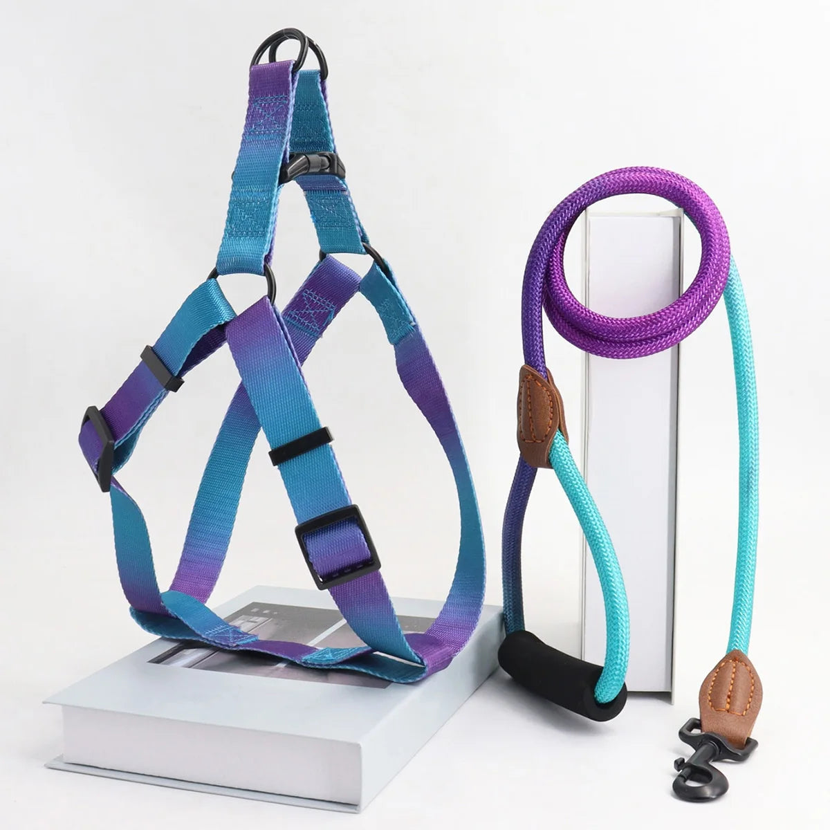 Colorful Pet Harness and Leash Set