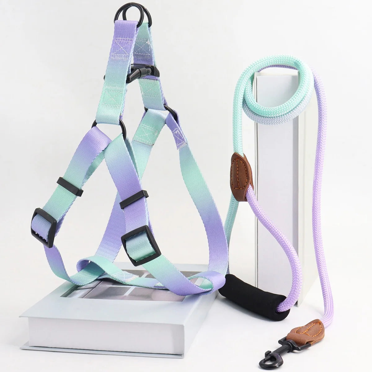 Colorful Pet Harness and Leash Set