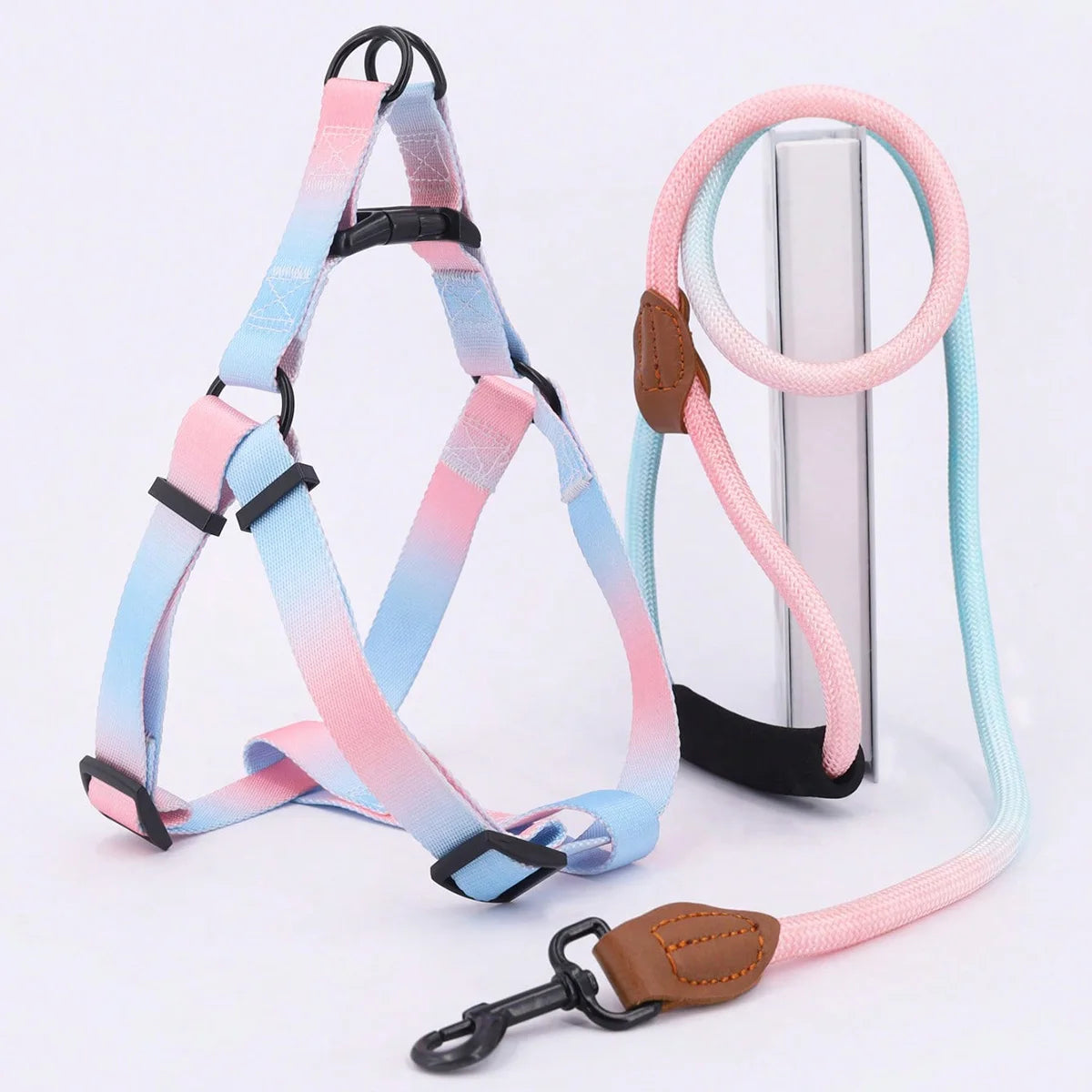 Colorful Pet Harness and Leash Set