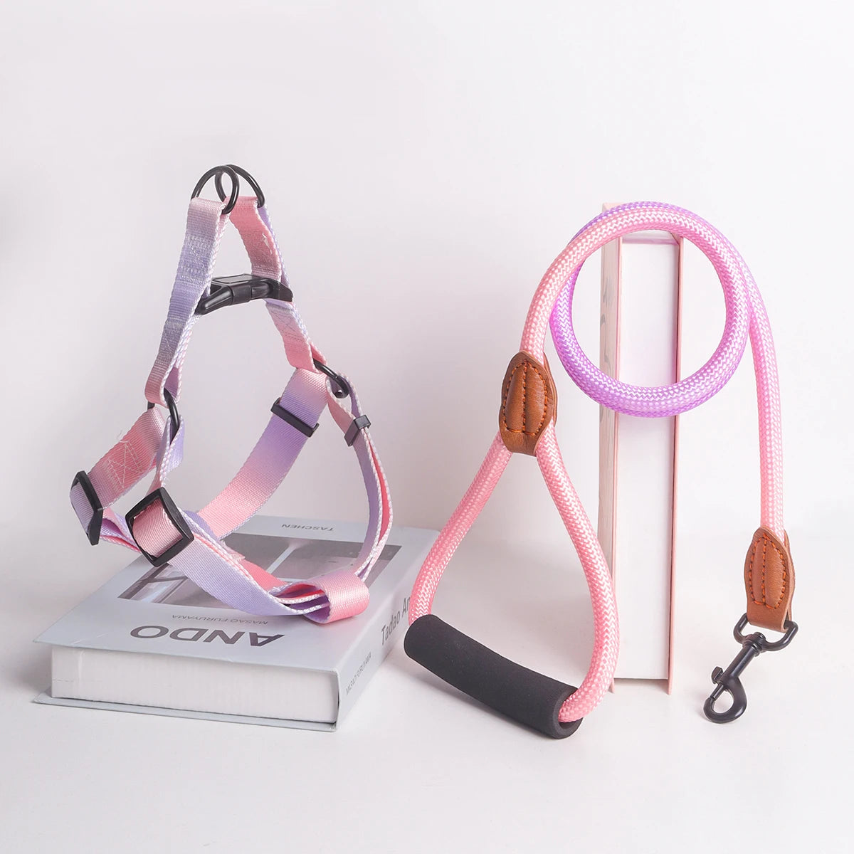 Colorful Pet Harness and Leash Set