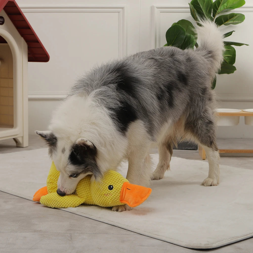 HOOPET Duck Chew Squeak Toy for Dogs Outdoor Training