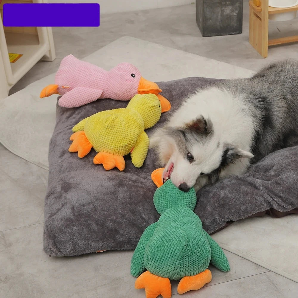 HOOPET Duck Chew Squeak Toy for Dogs Outdoor Training