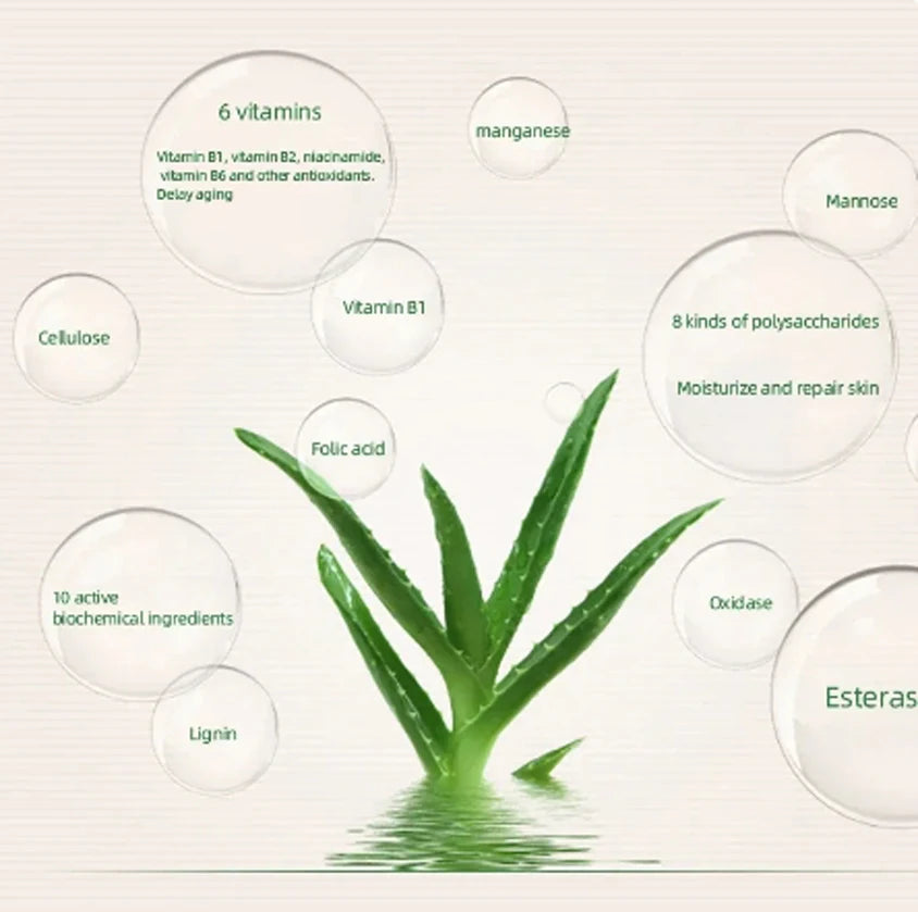 Aloe Vera Softening Powder Foundation