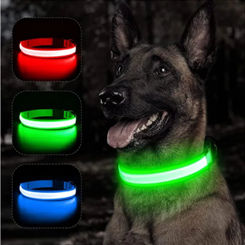 LED Dog Collar - Night Safety Illumination