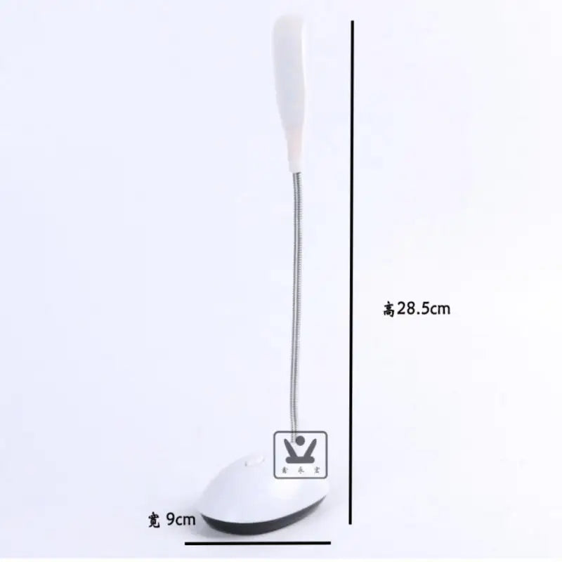 Portable LED Desk Lamp