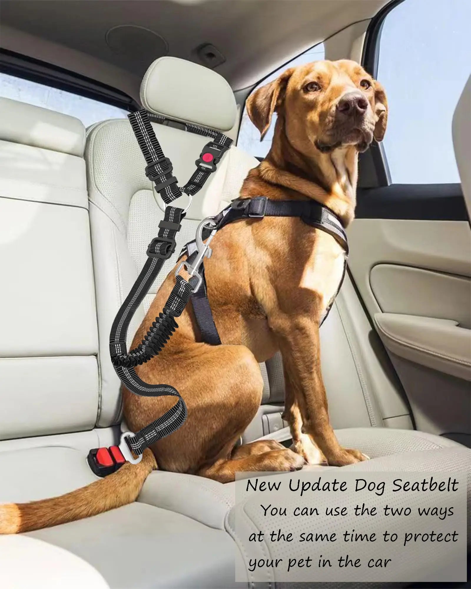 Adjustable Heavy Duty Dog Car Seat
