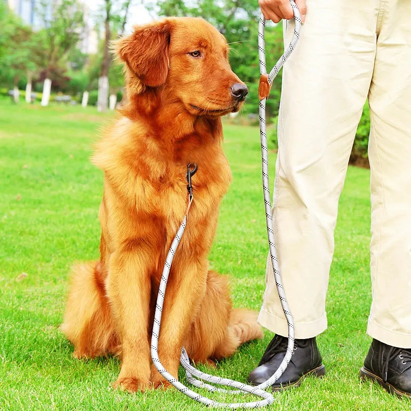 Hands-Free Reflective Dog Leash