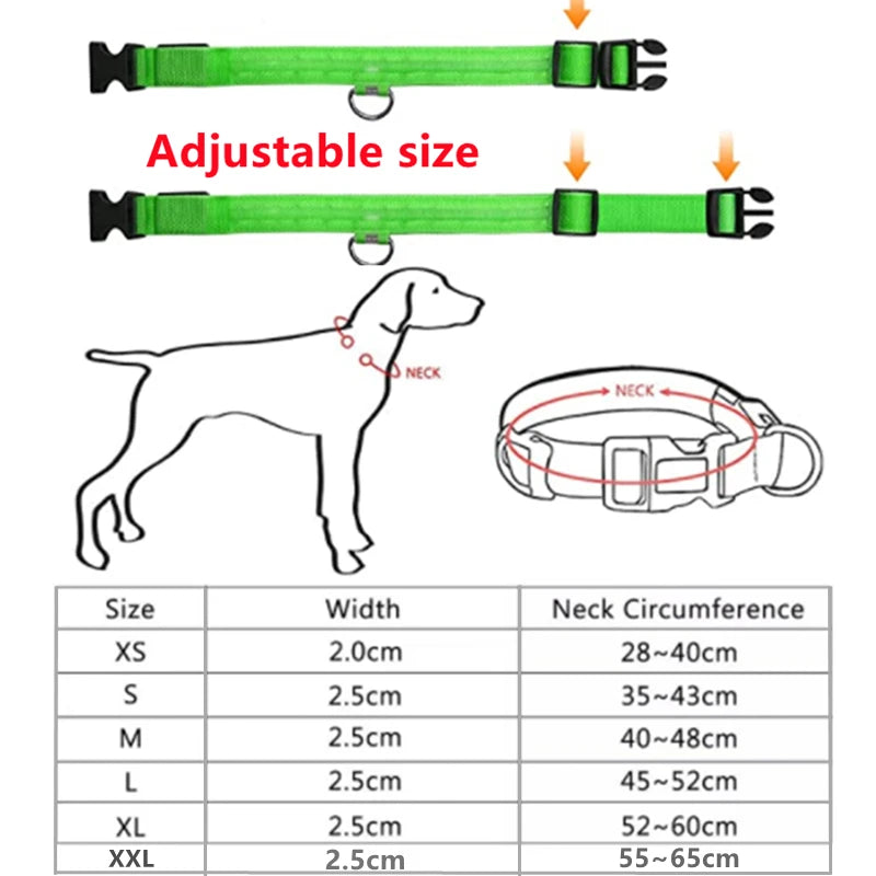 LED Dog Collar - Night Safety Illumination