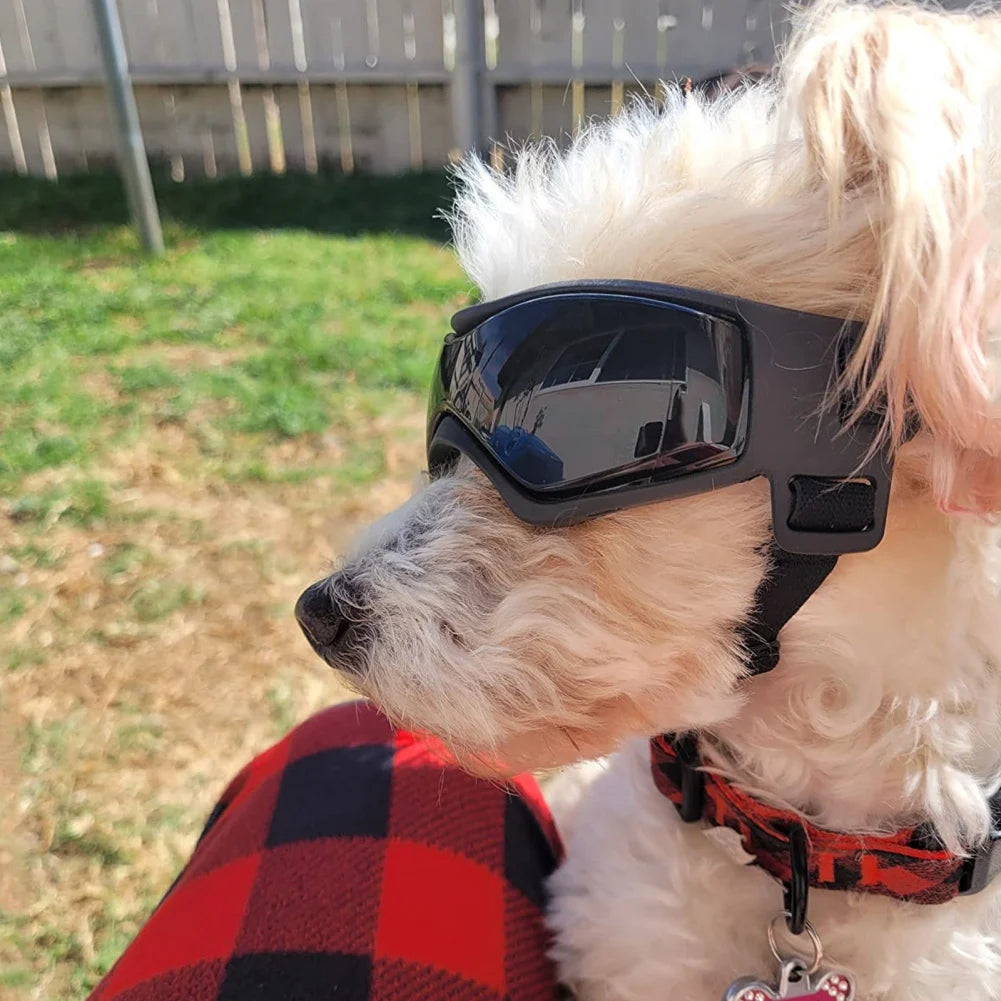 Adjustable UV Protection Pet Sunglasses