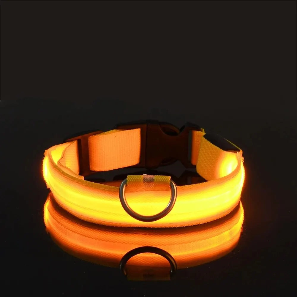 LED Glow Dog Leash and Collar