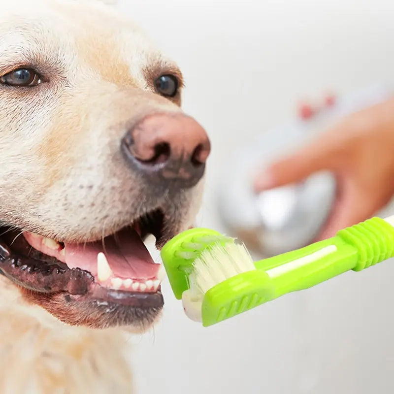 Three-Sided Pet Toothbrush