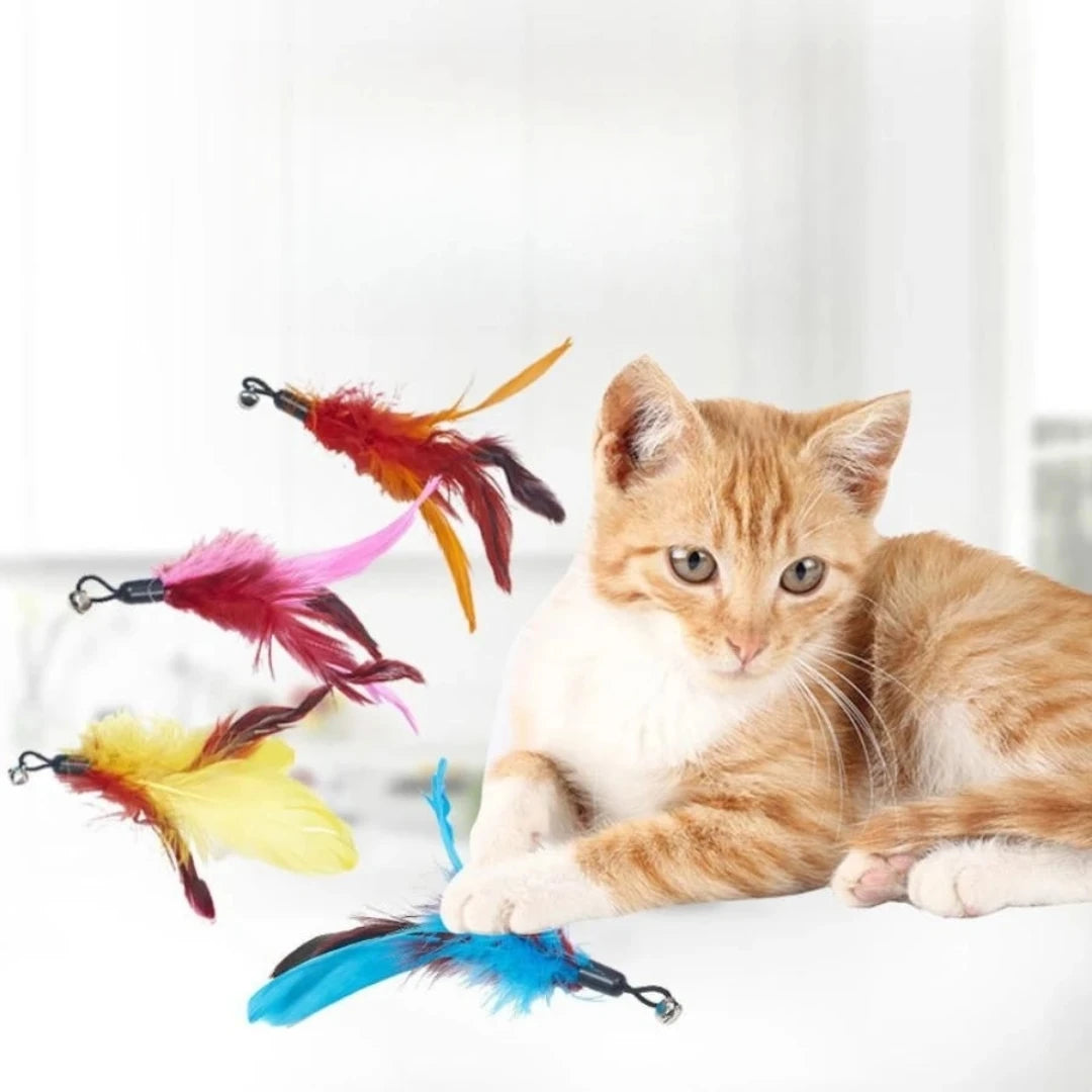 Feather Replacement Head Teaser Cat Toy Set with Rod