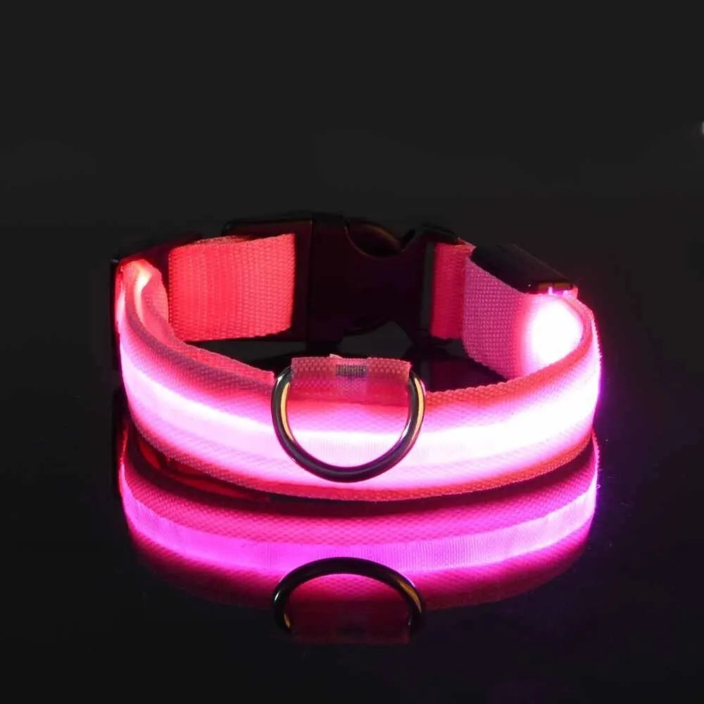 LED Glow Dog Leash and Collar