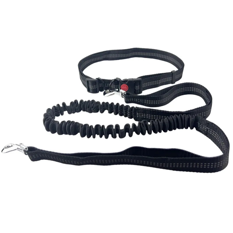 Hands-Free Adjustable Leash