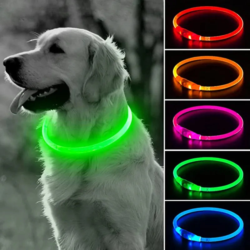 USB LED Dog Collar: Glowing Safety Collar for Pets