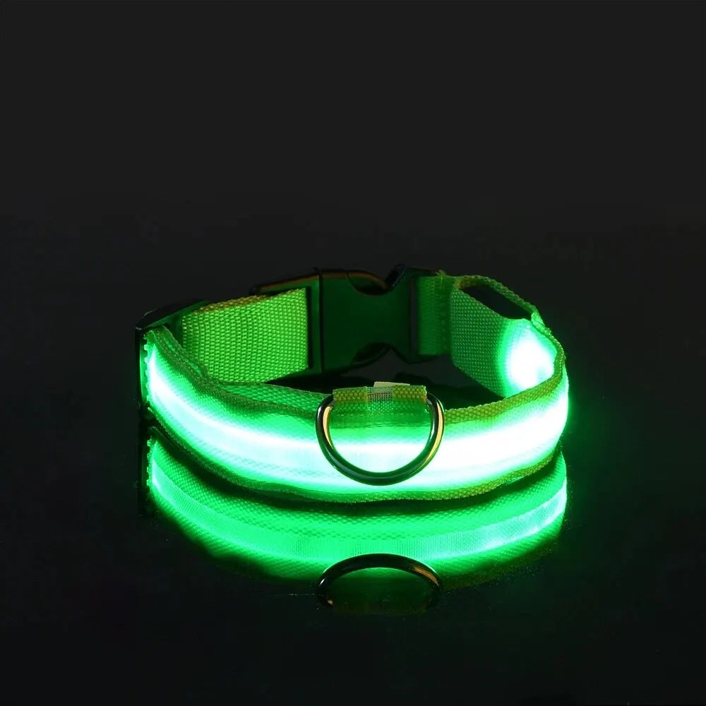 LED Glow Dog Leash and Collar