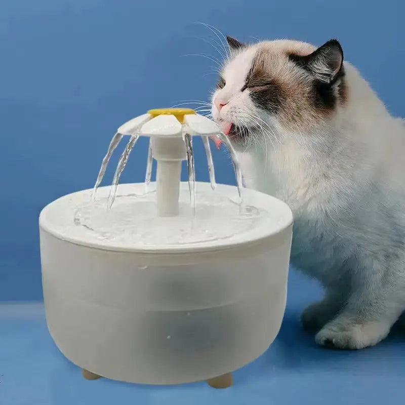 USB Electric Water Fountain for Cats with Recirculate Filtering