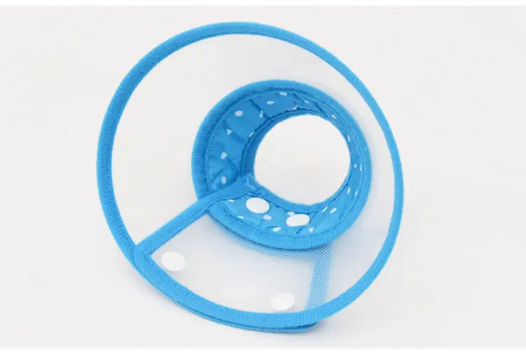 48812294406446|48812294471982|48812294504750|48812294668590