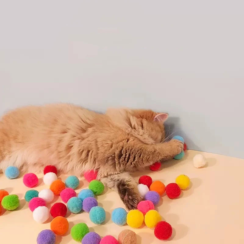 Interactive Cat Toy - Creative Training Ball Games