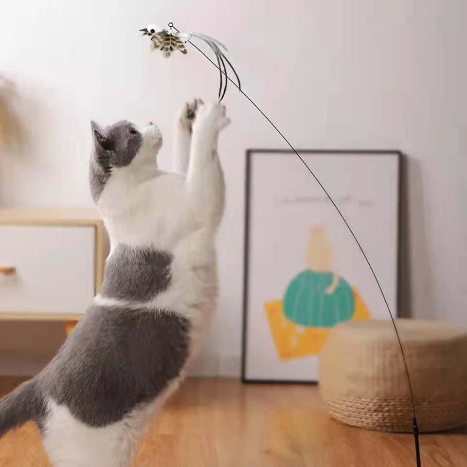 Feather Bird Cat Toy: Interactive Fun for Feline Friends