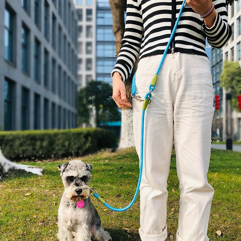 Reflective Hands-Free Nylon Dog Leash