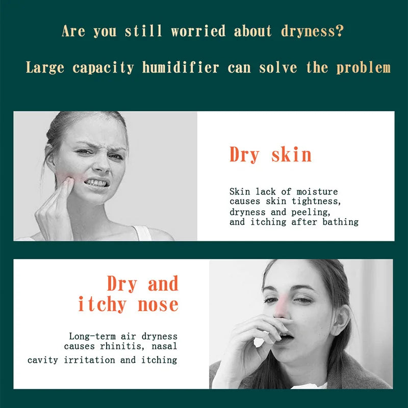 Double Spray Port Essential Oil Aromatherapy Humificador