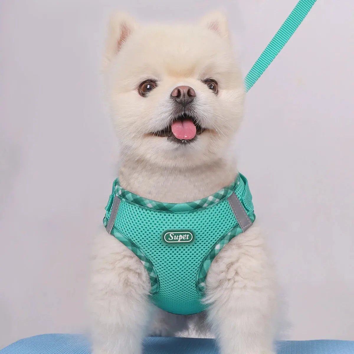 Adjustable Anti-Pull Dog Harness