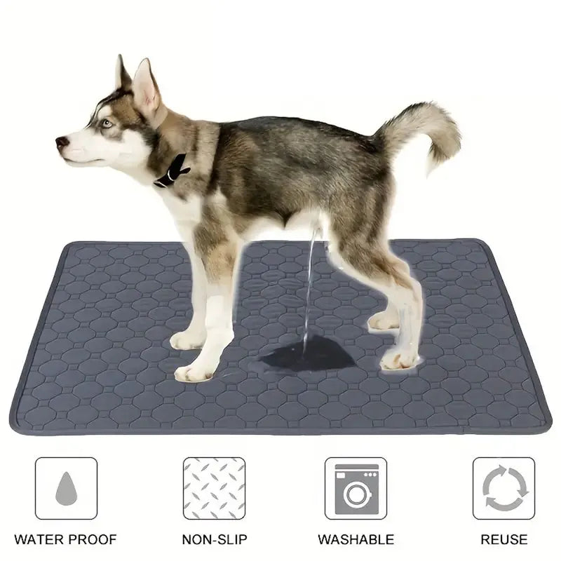 Reusable Waterproof Dog Pee Pad