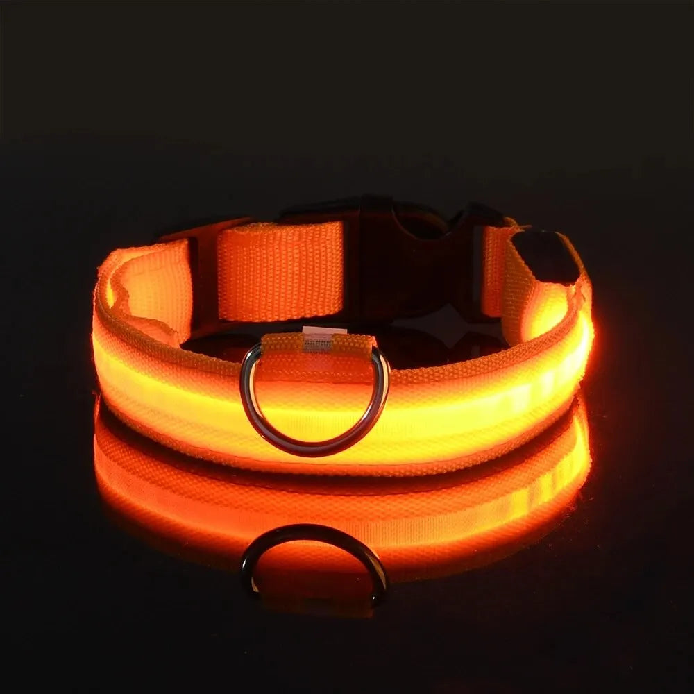LED Glow Dog Leash and Collar