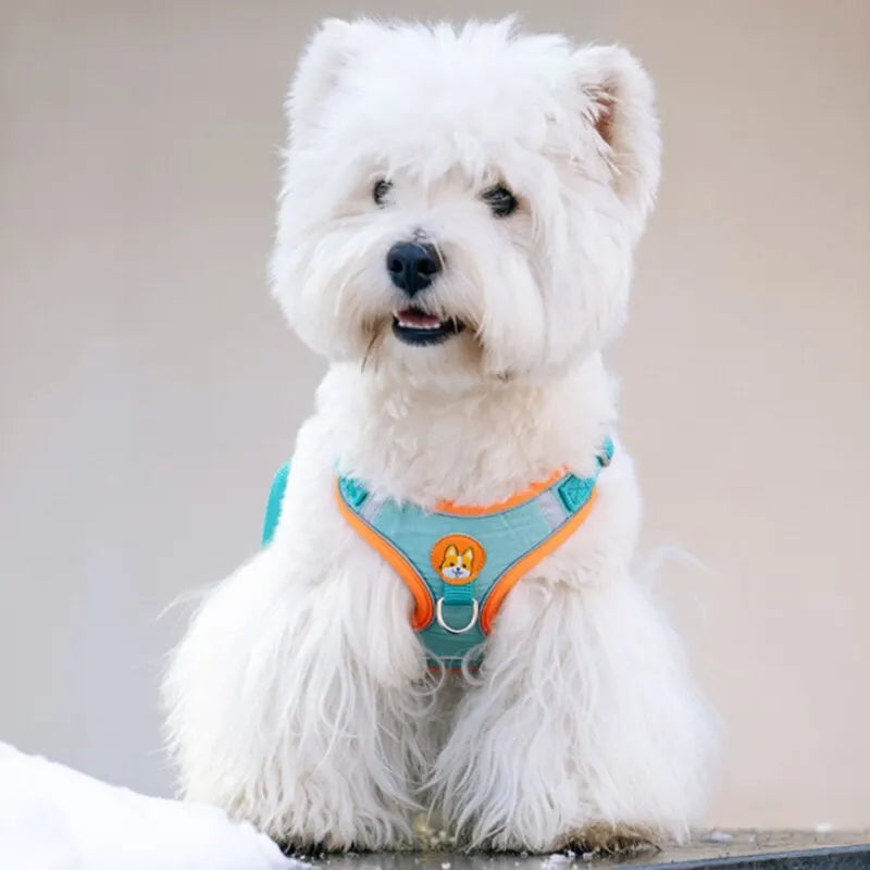 Adjustable No-Pull Reflective Pet Harness