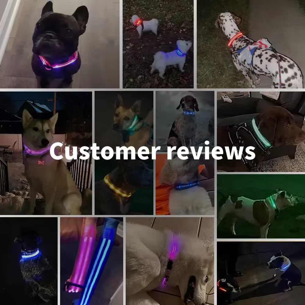 LED Dog Collar - Night Safety Illumination