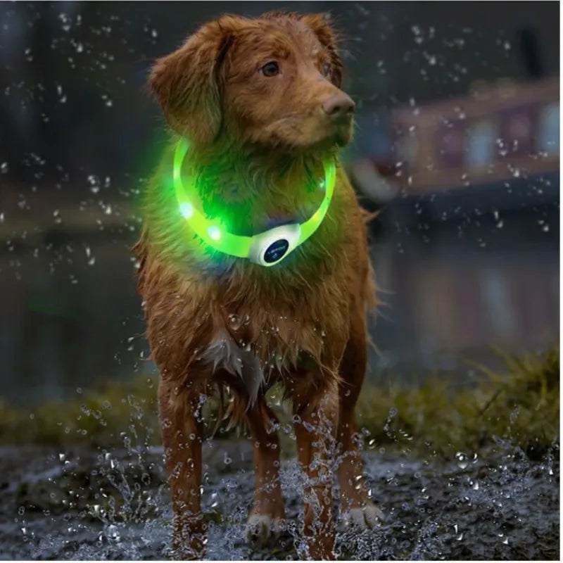 LED Luminous Waterproof Dog Collar