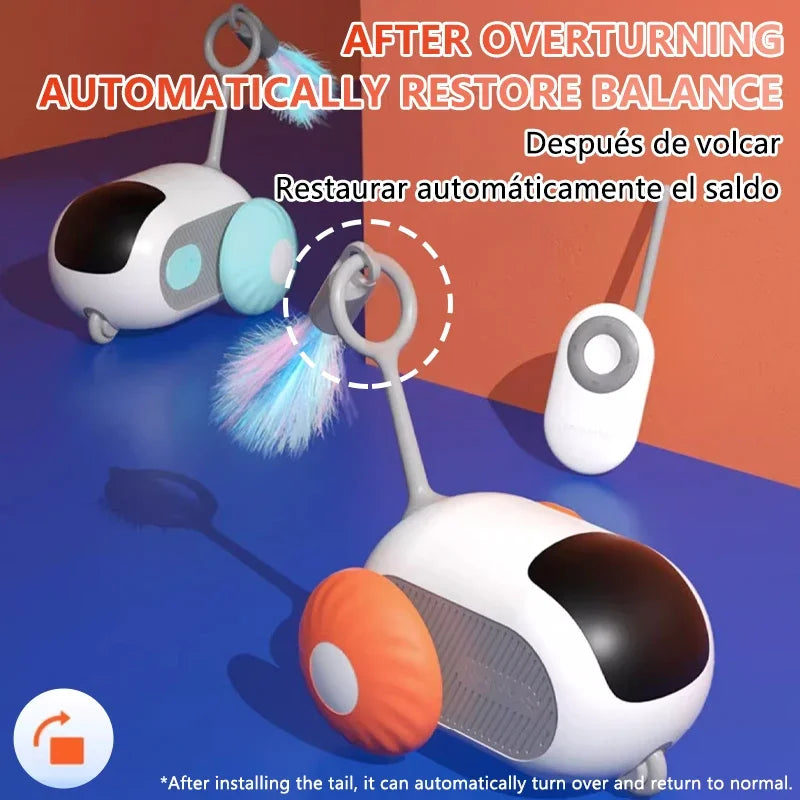 Interactive Remote Control Cat Toy