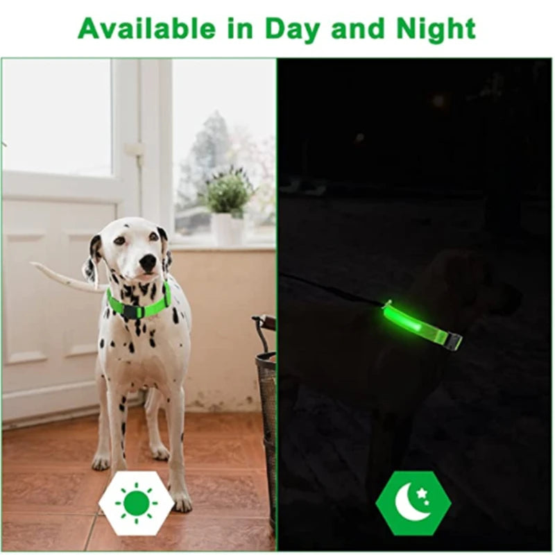 LED Dog Collar - Night Safety Illumination