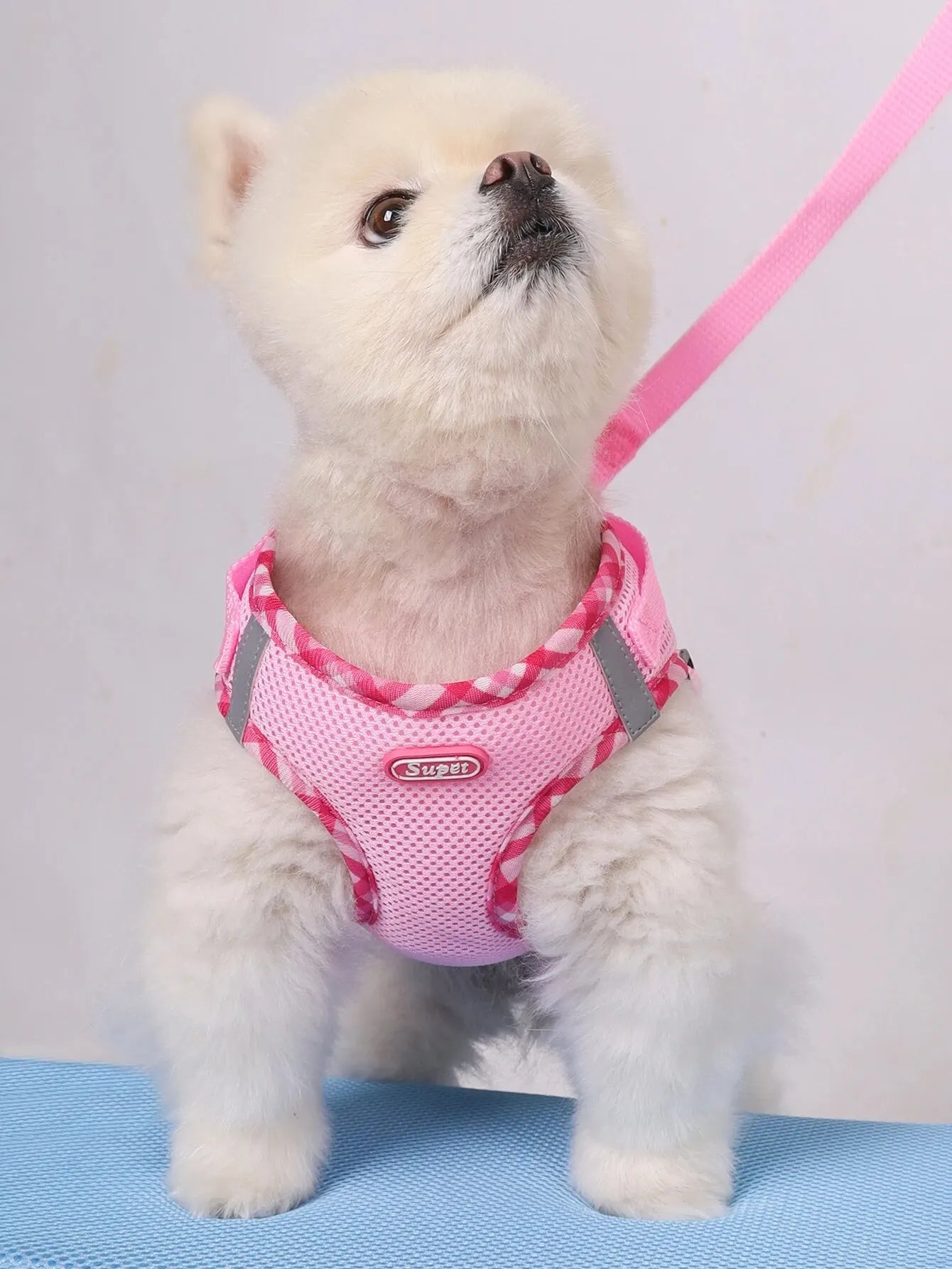 Adjustable Anti-Pull Dog Harness