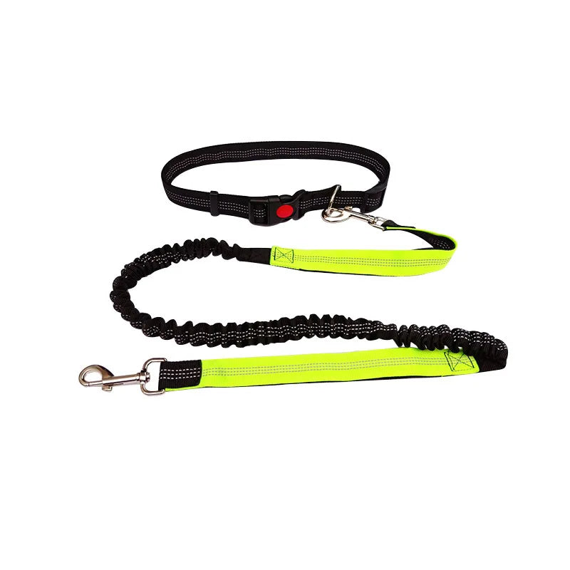 Hands-Free Adjustable Leash