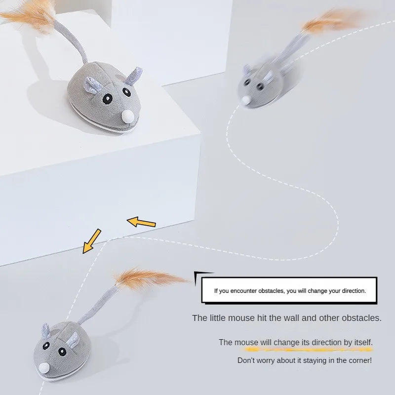 USB Interactive Cat Toy: Rotating Butterfly Training Toy