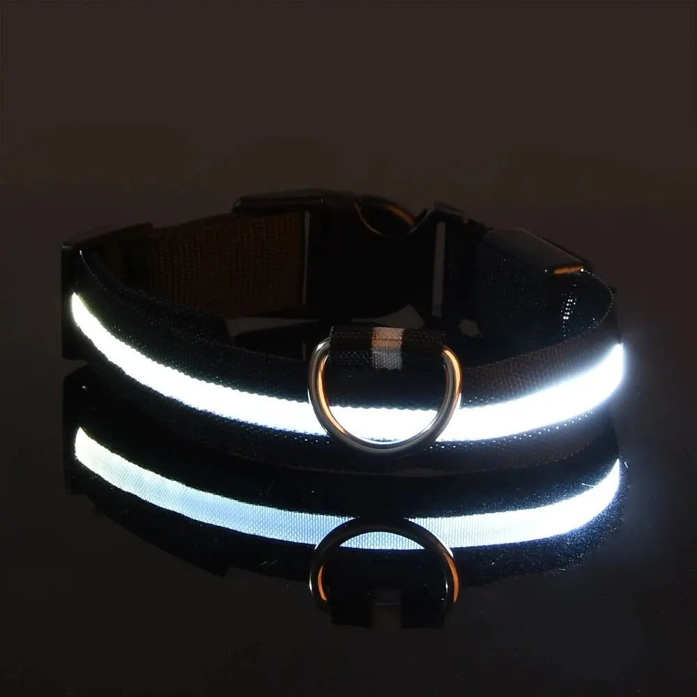 LED Glow Dog Leash and Collar