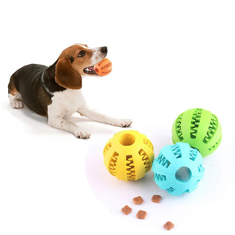Elastic Dog Ball Toy: Interactive Chew for Dental Health