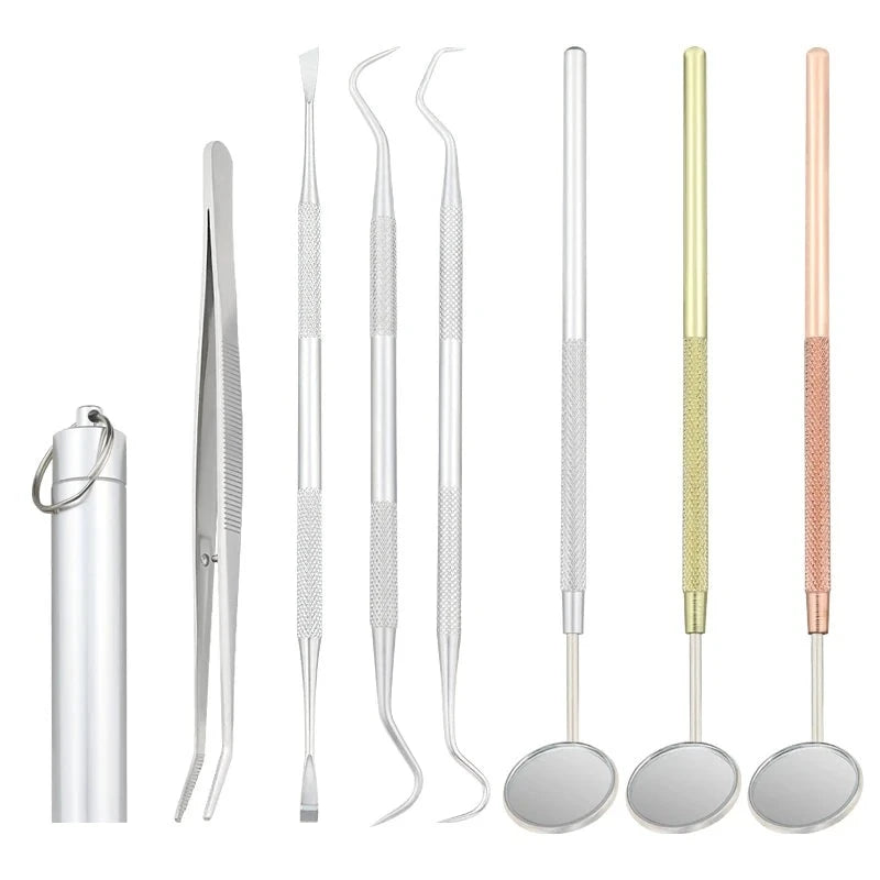 Stainless Steel Tooth Care Kit
