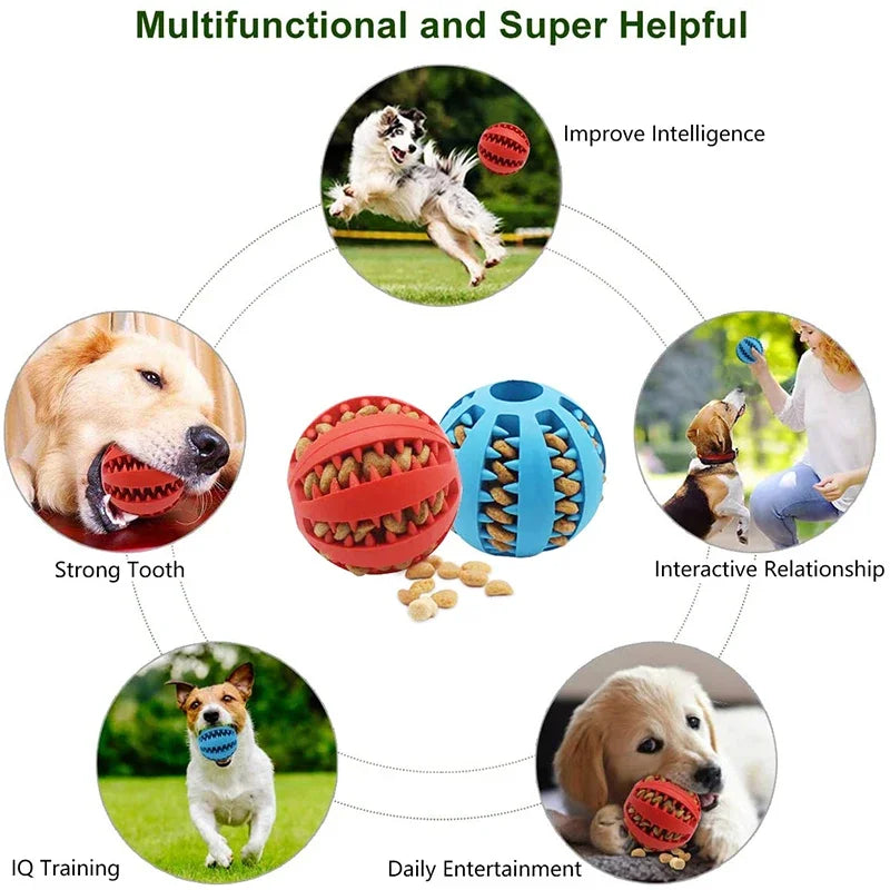 Elastic Dog Ball Toy: Interactive Chew for Dental Health