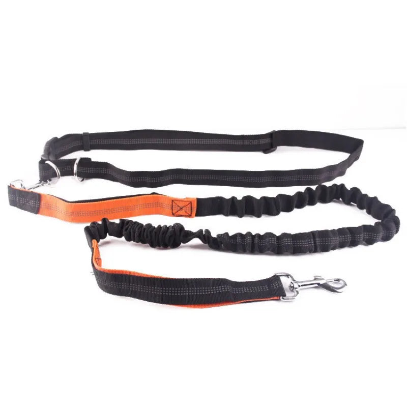 Hands-Free Adjustable Leash