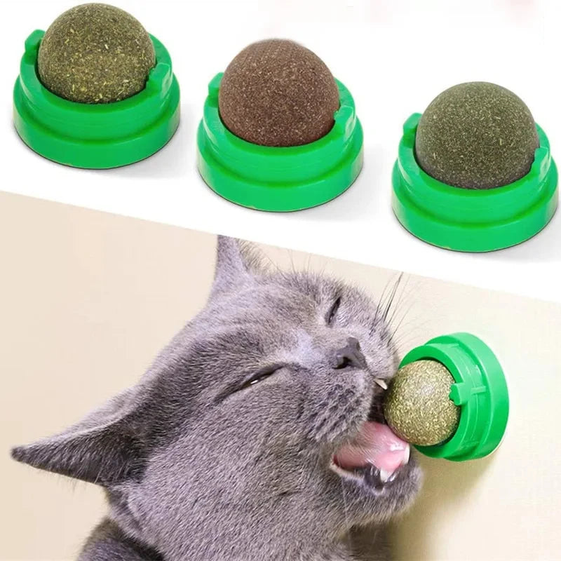 Natural Catnip Wall Ball Toy for Healthy Cat Scratching
