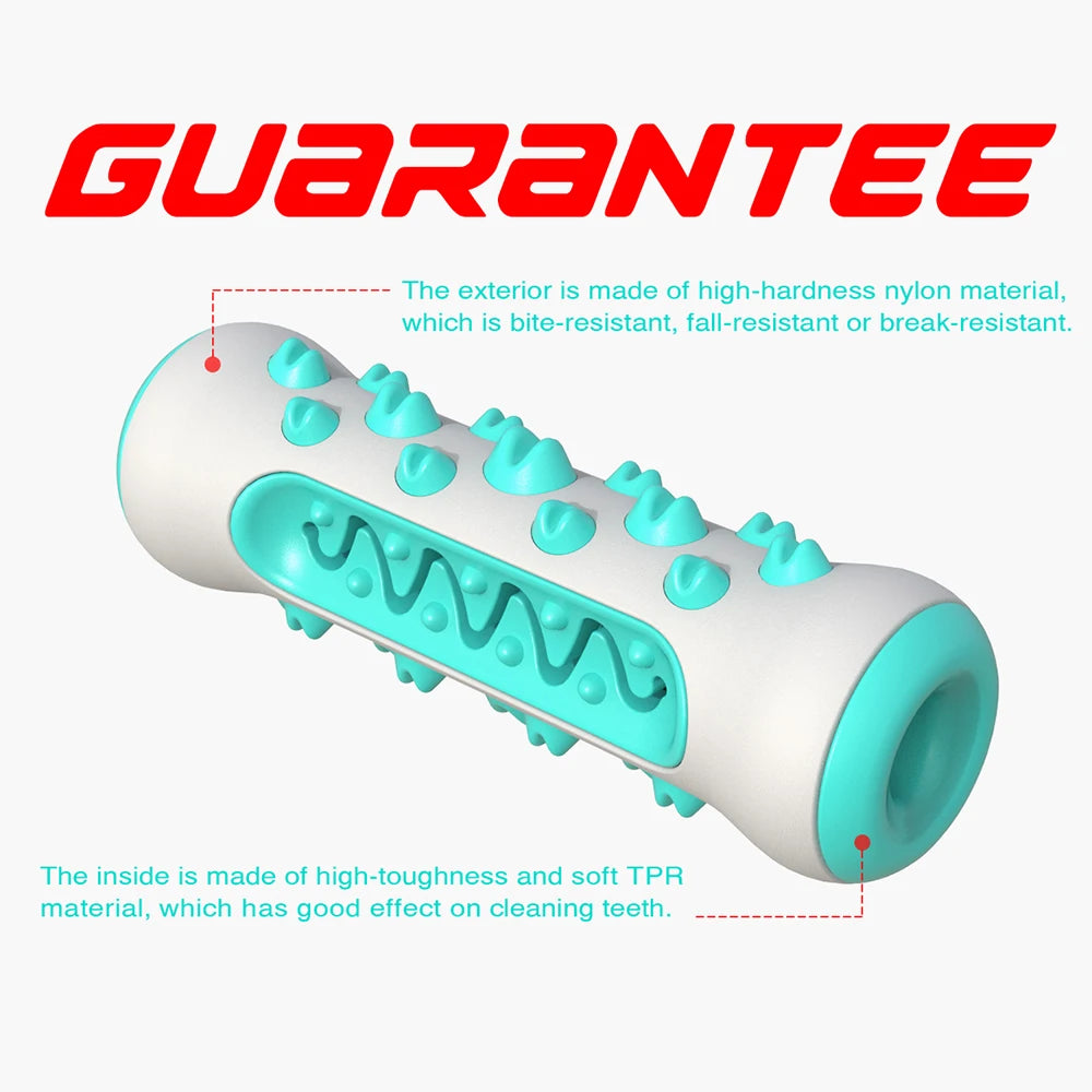 Durable Dog Toothbrush Chew Toy for Interactive Dental Care