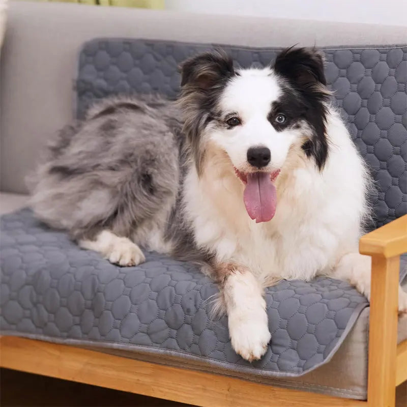 Reusable Waterproof Dog Pee Pad