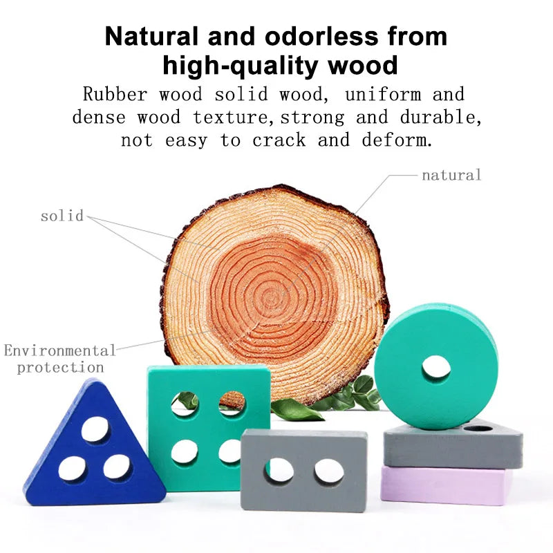 Montessori Wooden Puzzle Toy