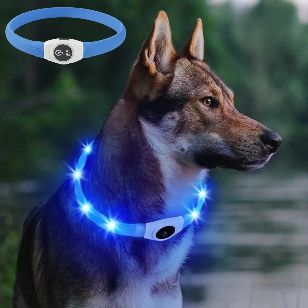 LED Luminous Waterproof Dog Collar