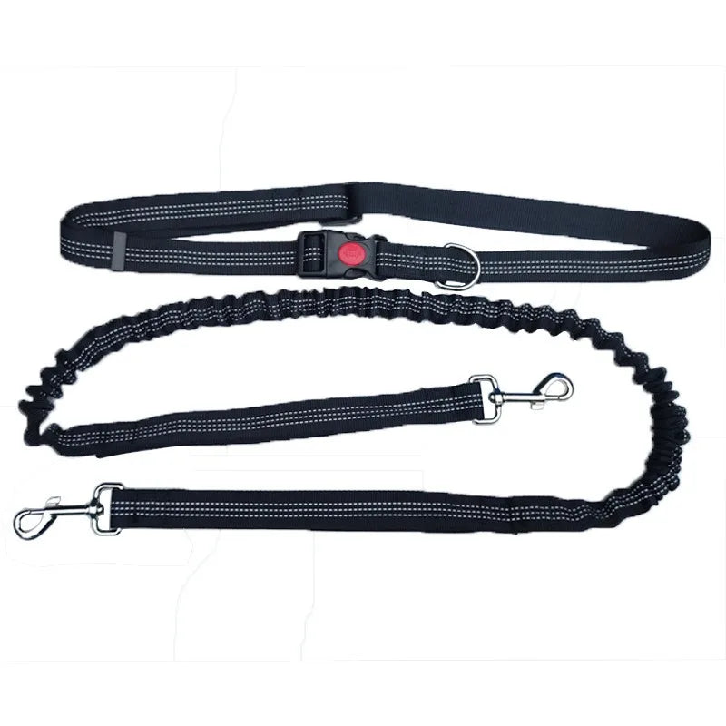 Hands-Free Adjustable Leash