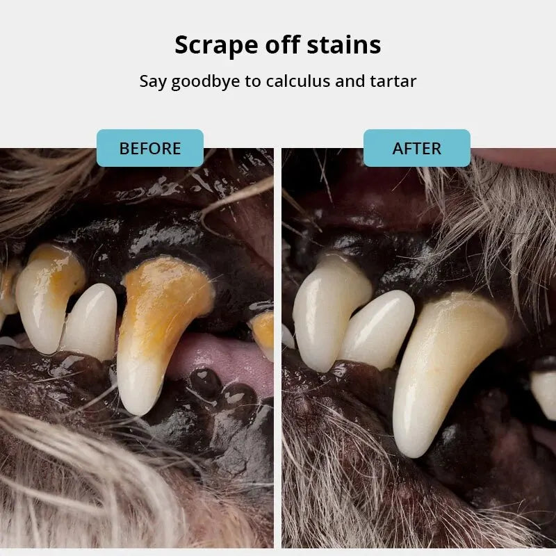 Stainless Steel Pet Dental Scraper